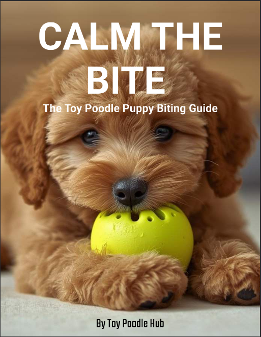 Calm The Bite - The toy Poodle Biting Guide eBook